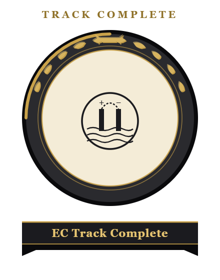 Track Complete medal